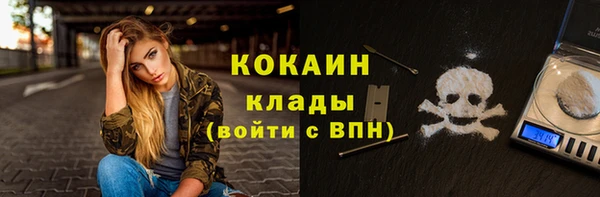 шишки Бронницы