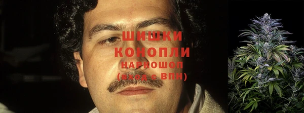 гидропоника Бугульма