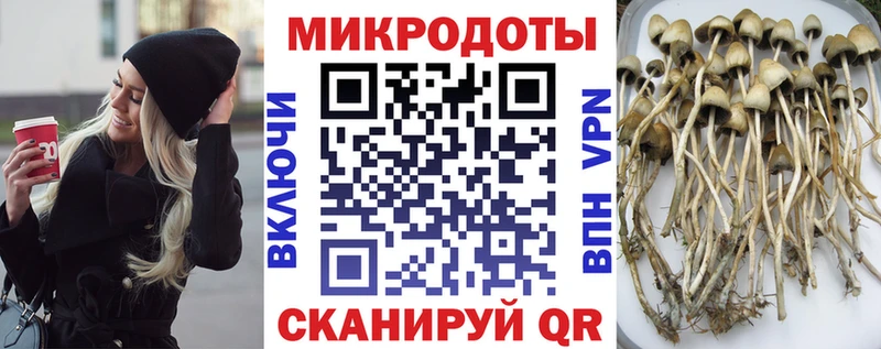хочу наркоту  Дальнегорск  это как зайти  Псилоцибиновые грибы Magic Shrooms 